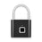 Keyless Fingerprint Smart Padlock - whinnyland gadgets